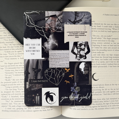 fourth wing inspired - kindle insert