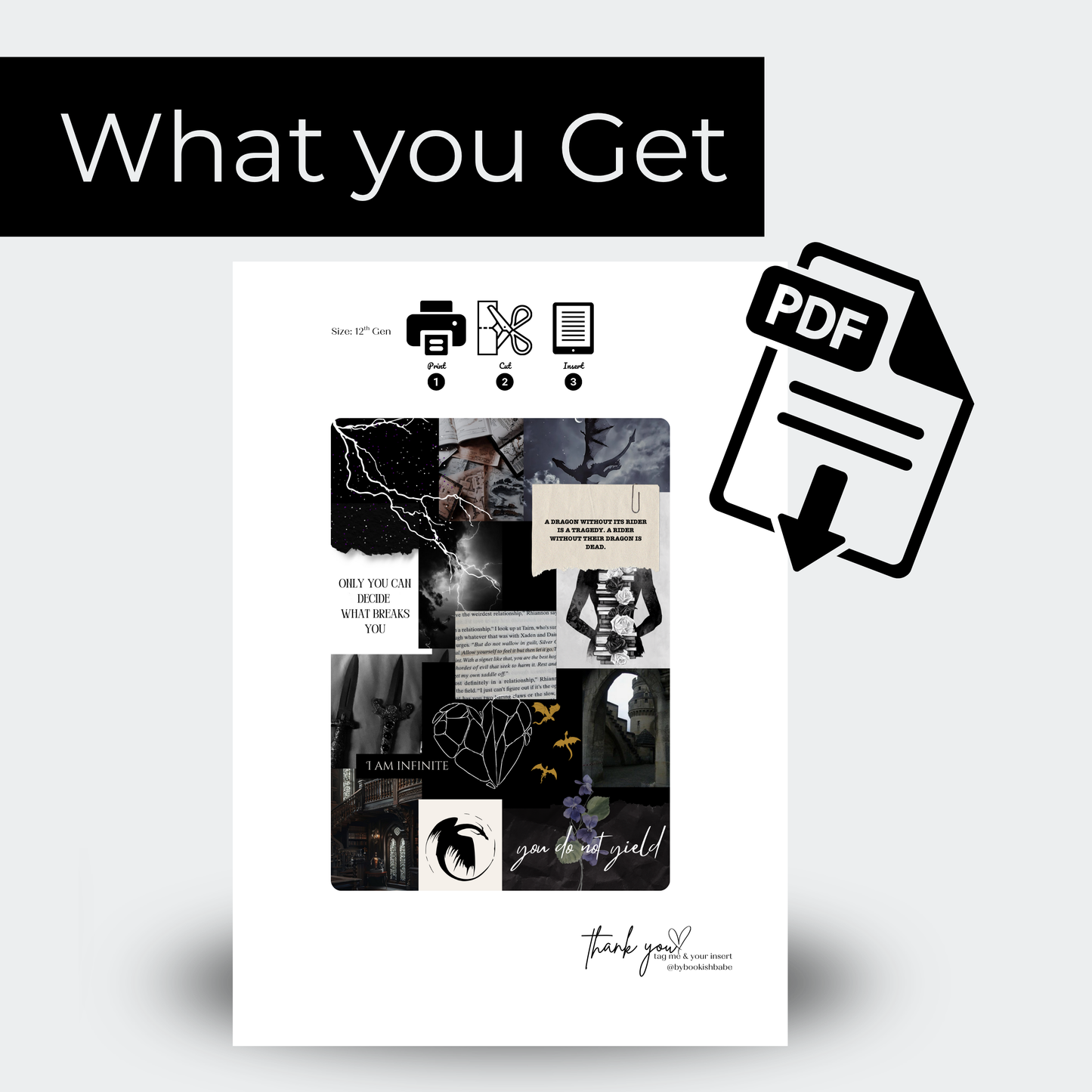 Fourth Wing Inspired - Kindle Insert (Printable)