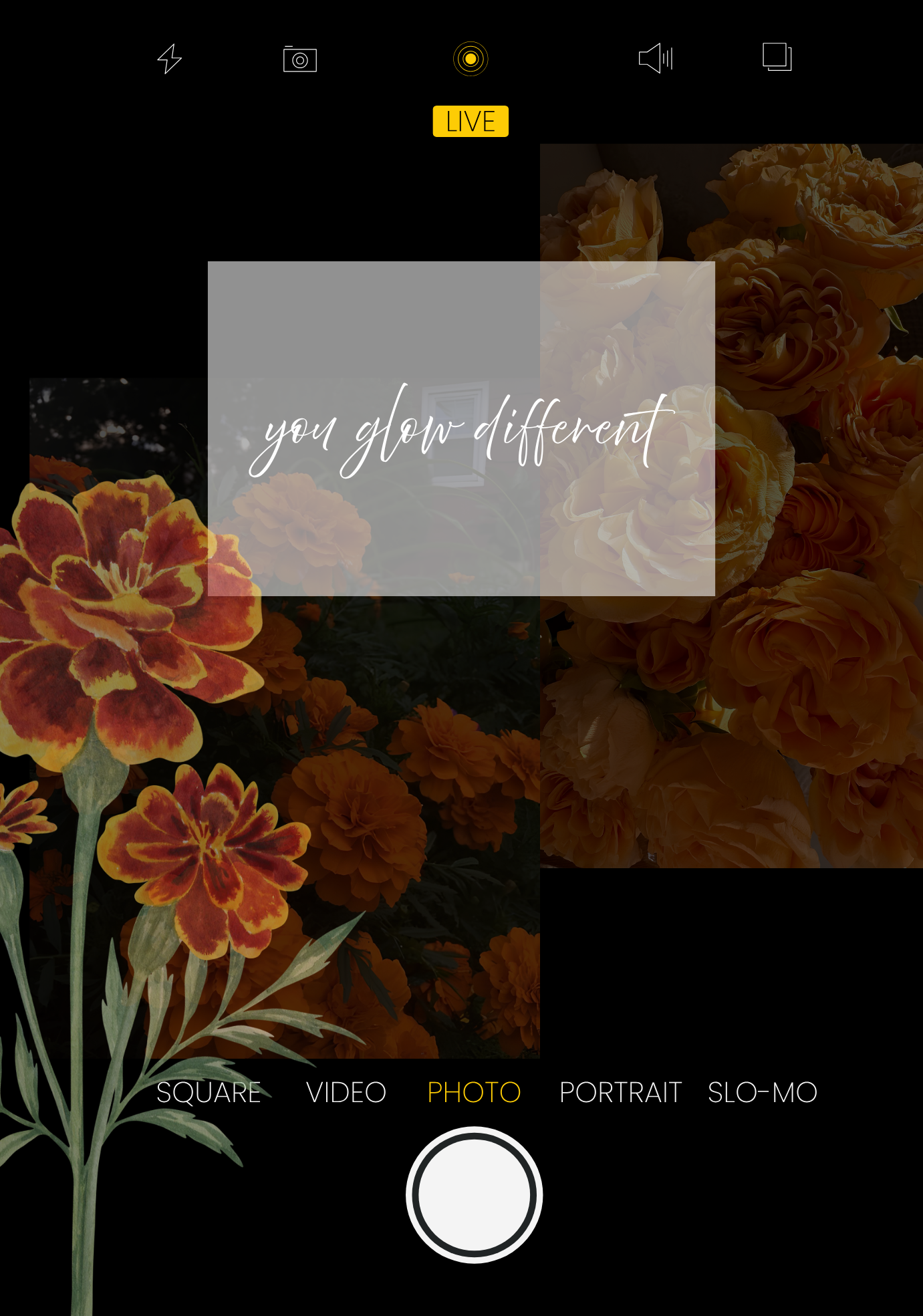 You Glow Different kindle insert artwork preview