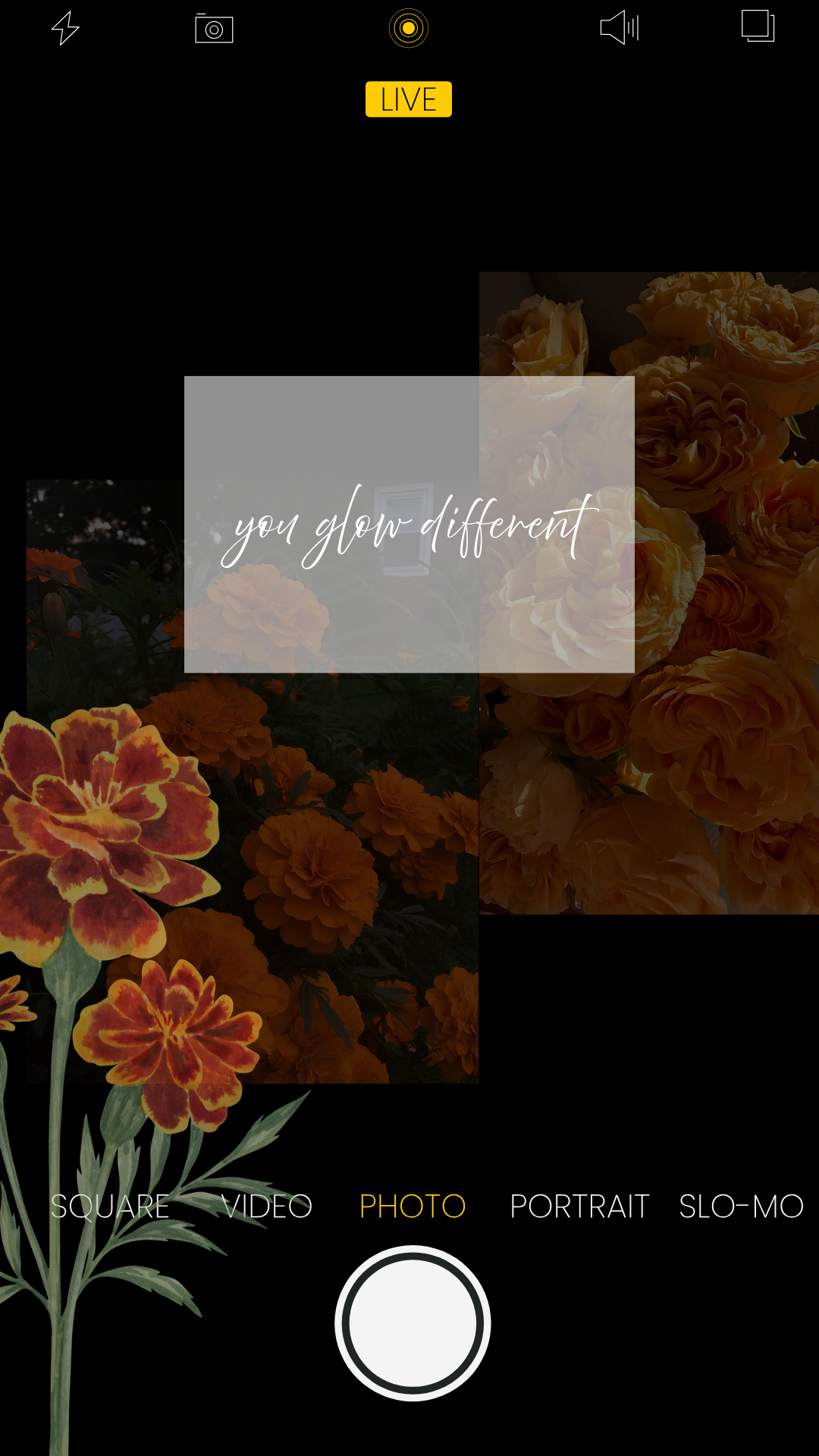 the light finds you first iphone wallpaper preview