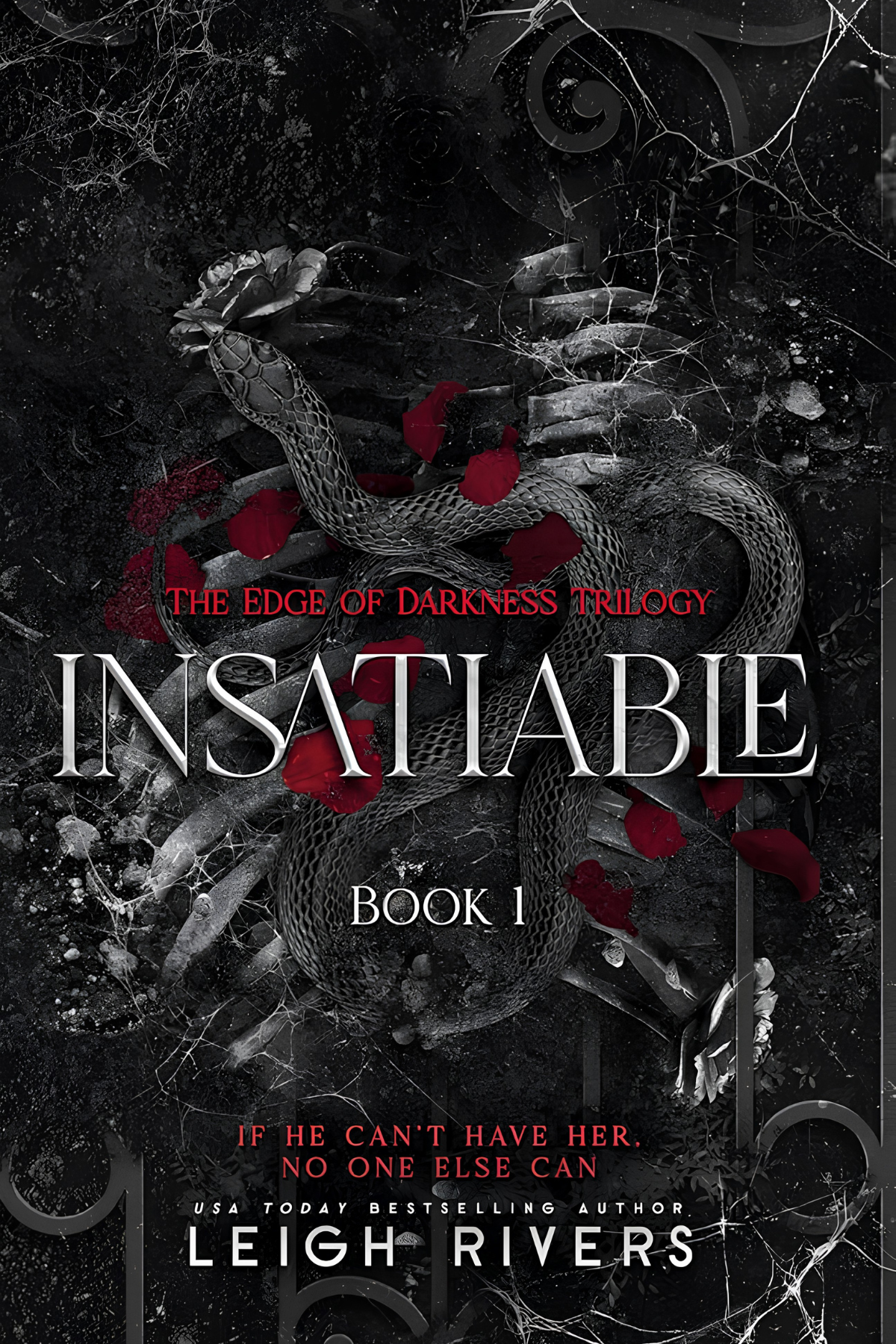 Insatiable book cover