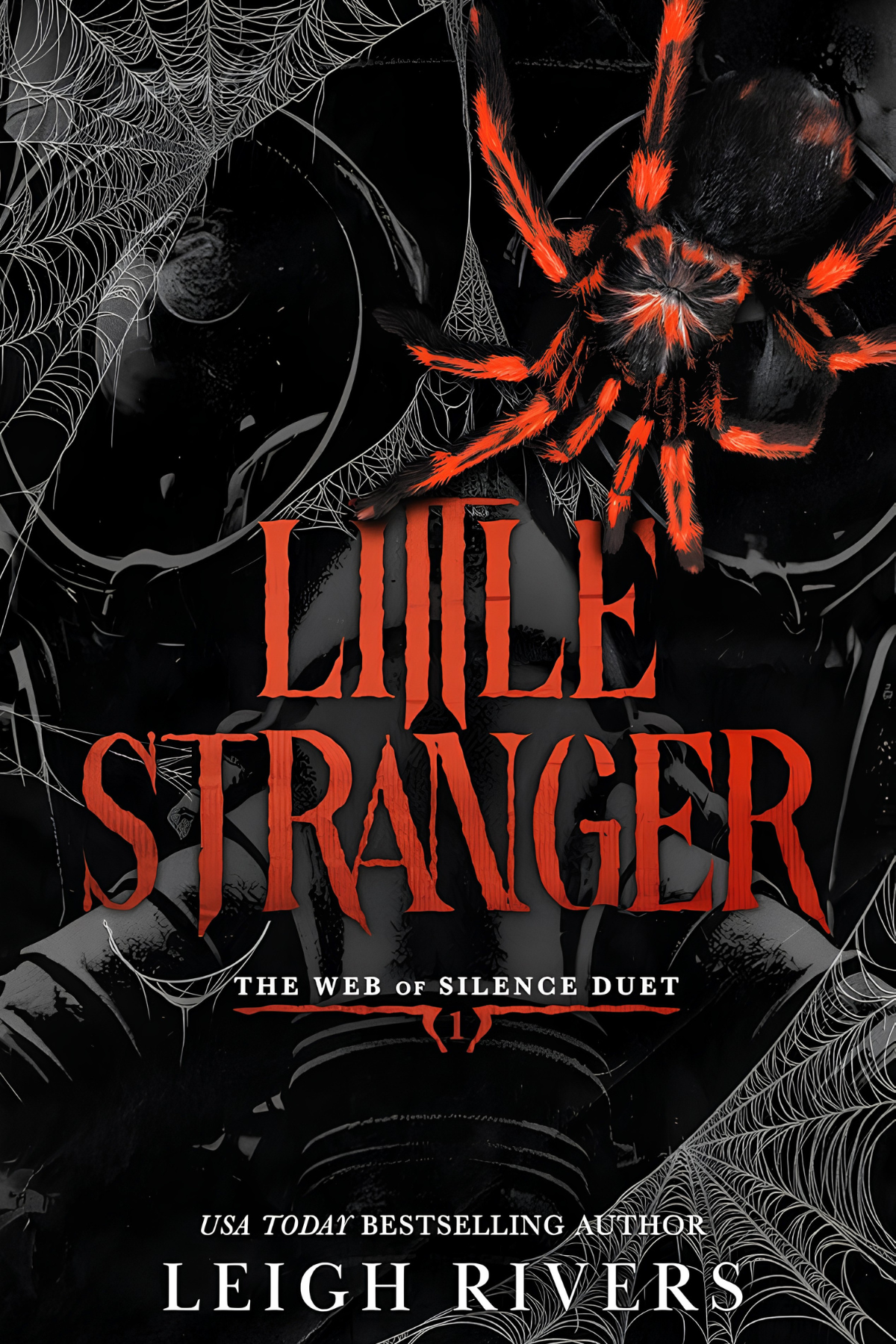 Little Stranger book cover