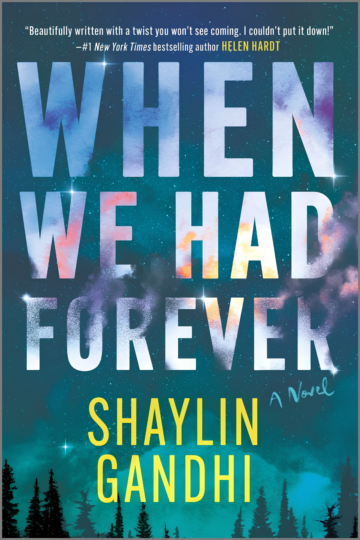 When We Had Forever book cover