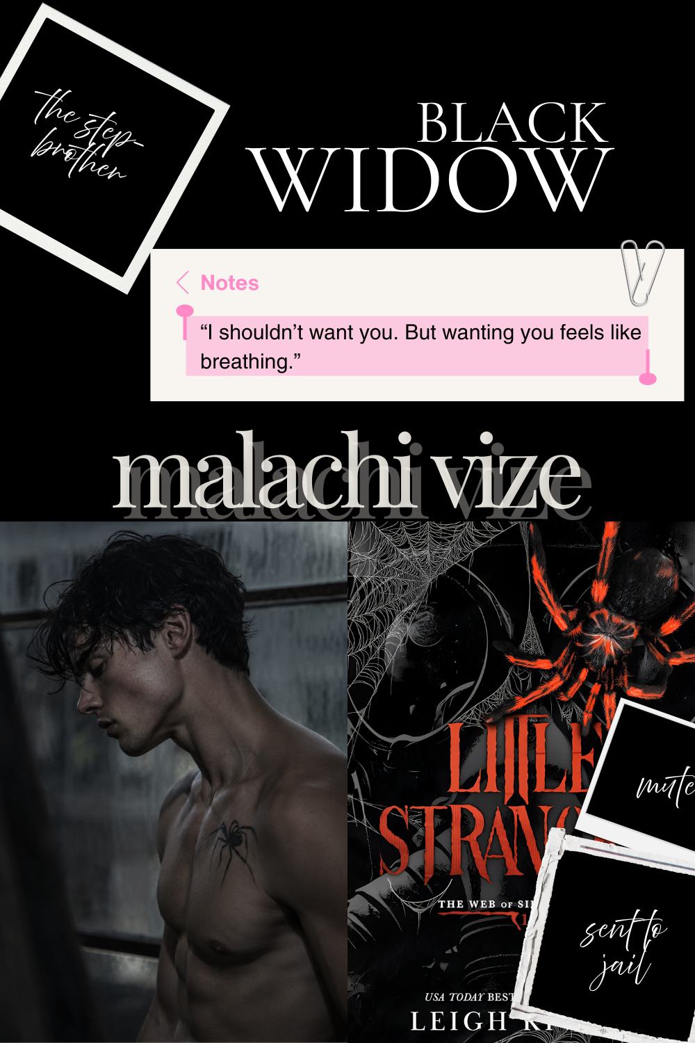 Malachi Vize dark romance moodboard - morally gray book boyfriend from Little Stranger